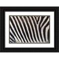 thumbnail image 1 of Jones, Adam 18x13 Black Ornate Wood Framed with Double Matting Museum Art Print Titled - Burchells zebra pattern of black and white stripes, 1 of 4