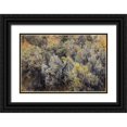 thumbnail image 1 of Jones, Adam 18x13 Black Ornate Wood Framed with Double Matting Museum Art Print Titled - Mountain big sagebrush-Yellowstone National Park-Wyoming, 1 of 4