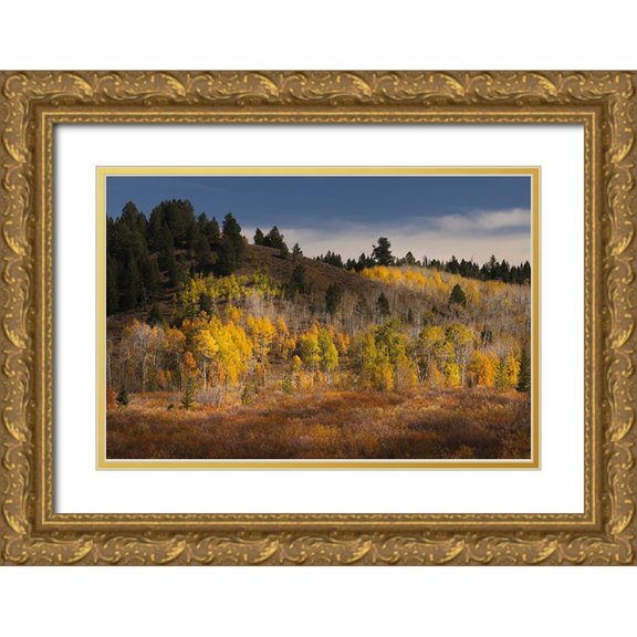 Jones, Adam 18x13 Gold Ornate Wood Framed with Double Matting Museum Art Print Titled - Autumn view of willows and aspen groves-Grand Teton National Park-Wyoming