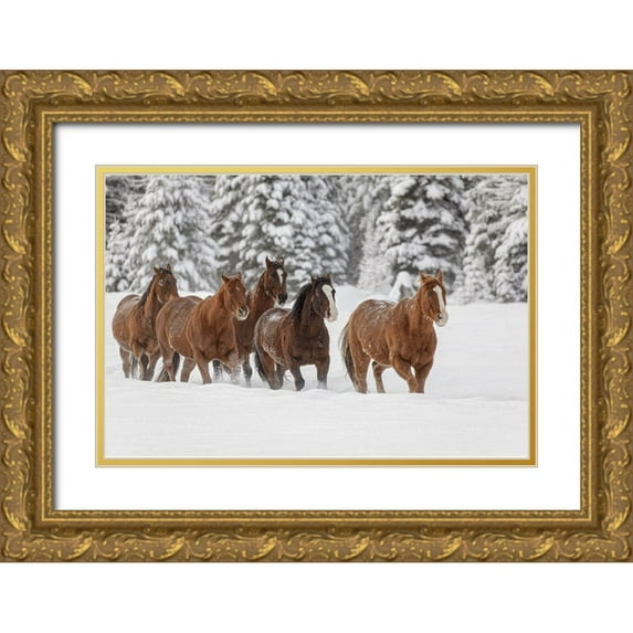 Jones, Adam 18x13 Gold Ornate Wood Framed with Double Matting Museum Art Print Titled - Horses running through fresh snow during roundup-Kalispell-Montana