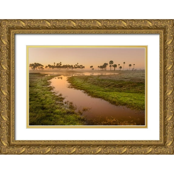 Jones, Adam 18x13 Gold Ornate Wood Framed with Double Matting Museum Art Print Titled - Sable palms silhouetted at sunrise on the Econlockhatchee River