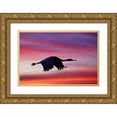 thumbnail image 1 of Jones, Adam 18x13 Gold Ornate Wood Framed with Double Matting Museum Art Print Titled - Sandhill crane silhouetted flying at sunset Bosque del Apache National Wildlife Refuge-New Mexico, 1 of 4