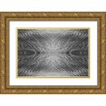 thumbnail image 1 of Jones, Adam 18x13 Gold Ornate Wood Framed with Double Matting Museum Art Print Titled - Grass pattern reflected and flipped-Bandon-Oregon, 1 of 4