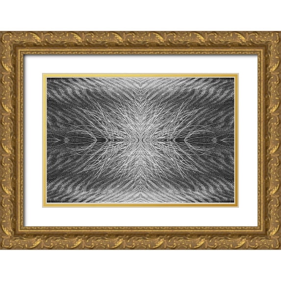 Jones, Adam 18x13 Gold Ornate Wood Framed with Double Matting Museum Art Print Titled - Grass pattern reflected and flipped-Bandon-Oregon