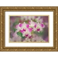 thumbnail image 1 of Jones, Adam 18x13 Gold Ornate Wood Framed with Double Matting Museum Art Print Titled - Hybrid Orchids Selby Gardens-Sarasota-Florida, 1 of 4