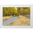thumbnail image 1 of Jones, Adam 18x13 White Modern Wood Framed Museum Art Print Titled - Bike path in autumn-Grand Teton National Park-Wyoming, 1 of 4