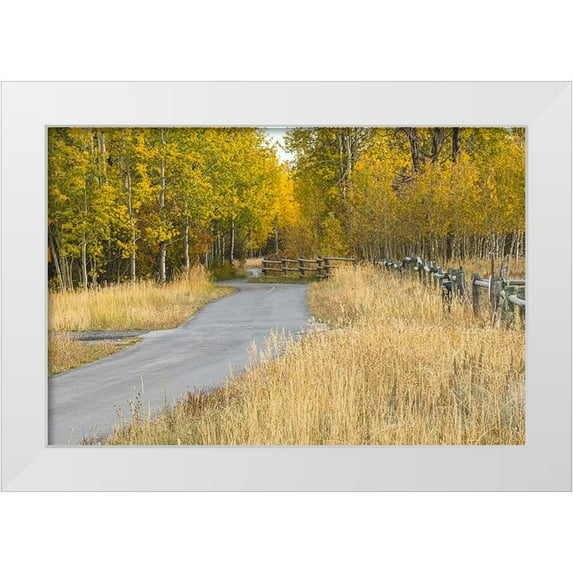 Jones, Adam 18x13 White Modern Wood Framed Museum Art Print Titled - Bike path in autumn-Grand Teton National Park-Wyoming