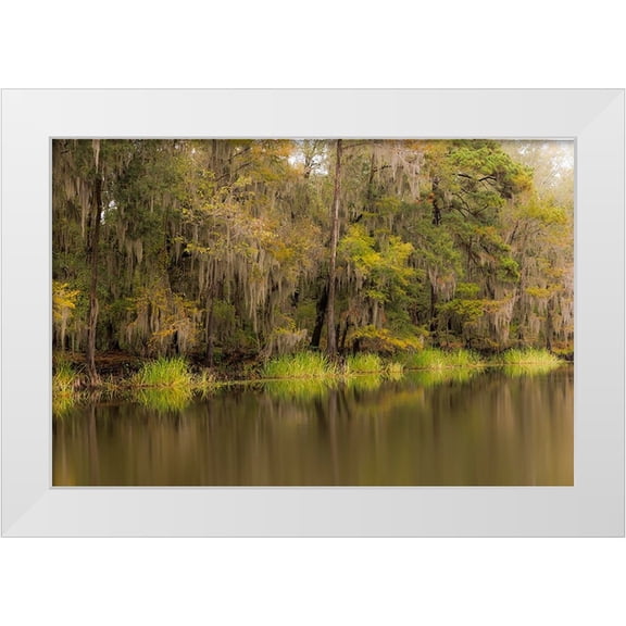 Jones, Adam 18x13 White Modern Wood Framed Museum Art Print Titled - Cypress trees and Spanish moss lining shoreline of Caddo Lake-Uncertain-Texas