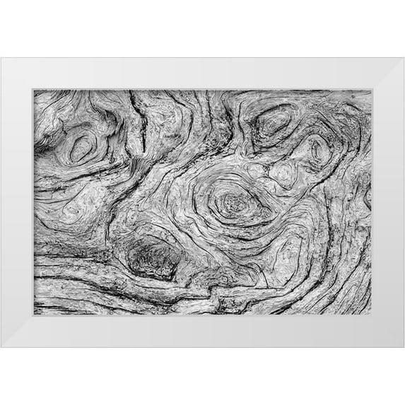 Jones, Adam 18x13 White Modern Wood Framed Museum Art Print Titled - Geometric pattern in eroded driftwood-Bandon Beach-Oregon