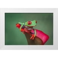 thumbnail image 1 of Jones, Adam 18x13 White Modern Wood Framed Museum Art Print Titled - Red-eyed tree frog, 1 of 4