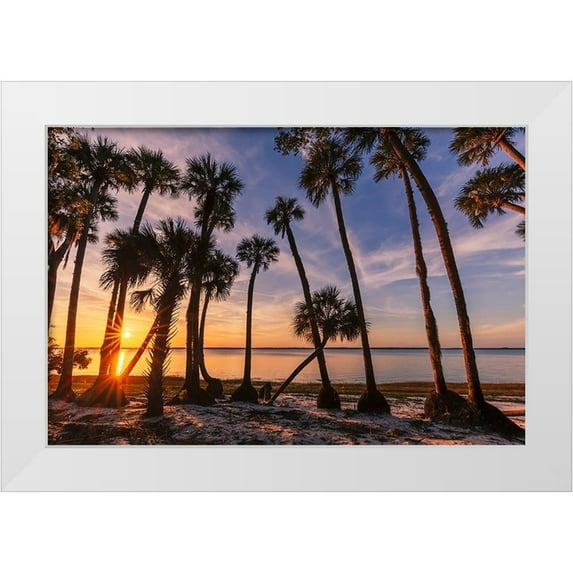 Jones, Adam 18x13 White Modern Wood Framed Museum Art Print Titled - Sable palm tree silhouetted along shoreline of Harney Lake at sunset-Florida