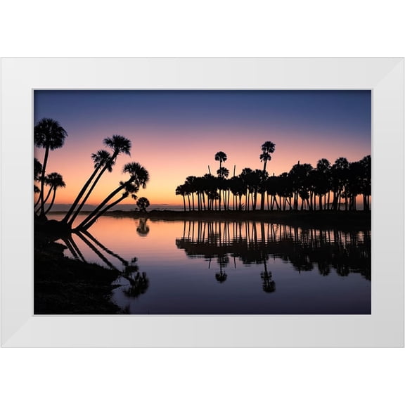 Jones, Adam 18x13 White Modern Wood Framed Museum Art Print Titled - Sable palms silhouetted at sunrise on the Econlockhatchee River