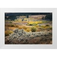 thumbnail image 1 of Jones, Adam 18x13 White Modern Wood Framed Museum Art Print Titled - Scenic landscape view of Lamar Valley with aspen trees and sagebrush-Yellowstone National Park, 1 of 4