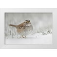 thumbnail image 1 of Jones, Adam 18x13 White Modern Wood Framed Museum Art Print Titled - White-throated sparrow on the ground feeding in snow, 1 of 4