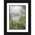thumbnail image 1 of Jones, Adam 23x32 Black Ornate Wood Framed with Double Matting Museum Art Print Titled - Fog drifting through black burned trees on mountain side-Great Smoky Mountains National Park, 1 of 4