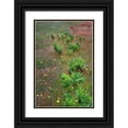 thumbnail image 1 of Jones, Adam 23x32 Black Ornate Wood Framed with Double Matting Museum Art Print Titled - Mixture of flowers-ferns and grasses-Dolason Prairie-Redwood National Park-California, 1 of 4