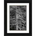 thumbnail image 1 of Jones, Adam 23x32 Black Ornate Wood Framed with Double Matting Museum Art Print Titled - Silicified (calcified) tree-Upper Geyser Basin-Yellowstone National Park-Wyoming, 1 of 4