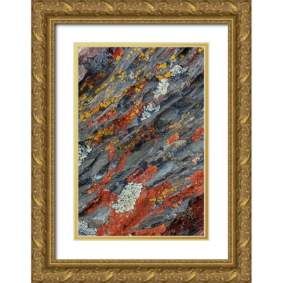 Jones, Adam 23x32 Gold Ornate Wood Framed with Double Matting Museum Art Print Titled - Colorful red and yellow lichens on rocks-eastern Sierra Range-California