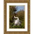 thumbnail image 1 of Jones, Adam 23x32 Gold Ornate Wood Framed with Double Matting Museum Art Print Titled - Great egret in courtship display in full breeding plumage-Venice rookery-Venice-Florida, 1 of 4