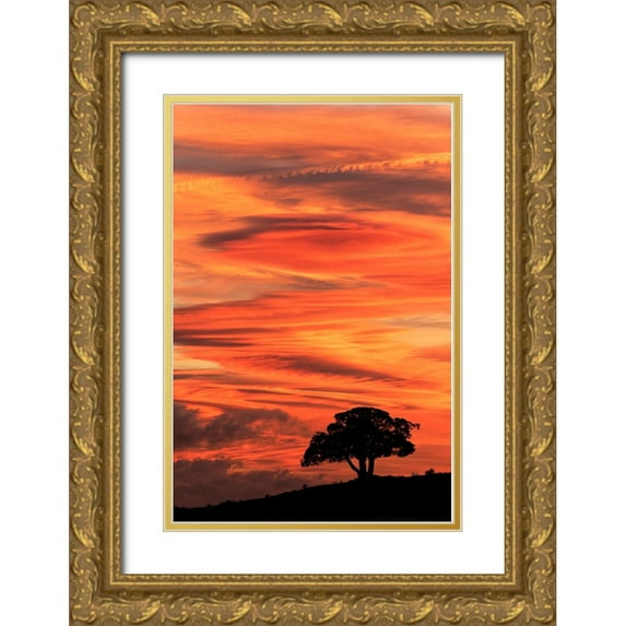 Jones, Adam 23x32 Gold Ornate Wood Framed with Double Matting Museum Art Print Titled - Single tree silhouetted at sunrise-Yellowstone National Park-Wyoming