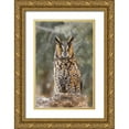 thumbnail image 1 of Jones, Adam 23x32 Gold Ornate Wood Framed with Double Matting Museum Art Print Titled - Long-eared owl-Asio otus-controlled situation-Montana, 1 of 4