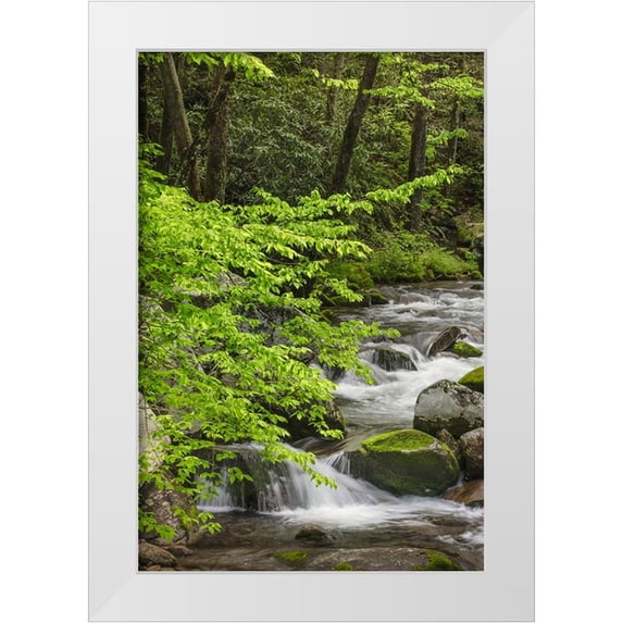 Jones, Adam 23x32 White Modern Wood Framed Museum Art Print Titled - Cascading mountain stream-Great Smoky Mountains National Park-Tennessee-North Carolina