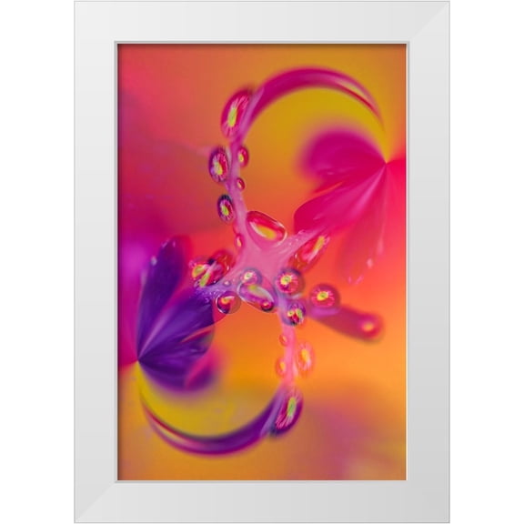 Jones, Adam 23x32 White Modern Wood Framed Museum Art Print Titled - Close-up of flower reflected in waterdrop