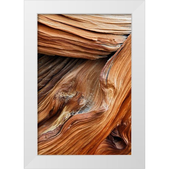 Jones, Adam 23x32 White Modern Wood Framed Museum Art Print Titled - Pattern in wood of Bristlecone pine-White Mountains-Inyo National Forest-California
