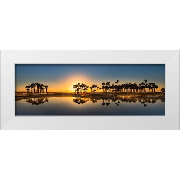 Jones, Adam 24x11 White Modern Wood Framed Museum Art Print Titled - Sable palms silhouetted at sunrise on the Econlockhatchee River