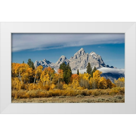 Jones, Adam 24x16 White Modern Wood Framed Museum Art Print Titled - Golden aspen trees and Cathedral Group-Grand Teton National Park-Wyoming