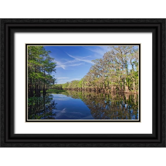 Jones, Adam 24x17 Black Ornate Wood Framed with Double Matting Museum Art Print Titled - Early spring view of cypress trees reflecting on blackwater area of St Johns River-central Florida
