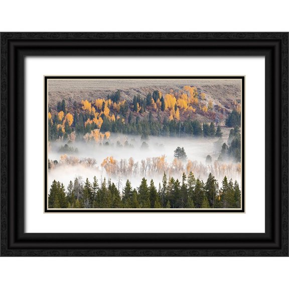 Jones, Adam 24x17 Black Ornate Wood Framed with Double Matting Museum Art Print Titled - Elevated view of aspen and cottonwood trees mist along Snake River-Grand Teton National Park-Wyoming