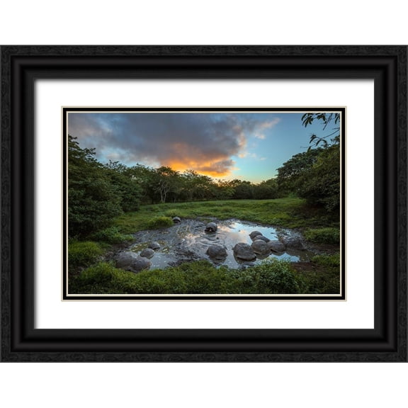 Jones, Adam 24x17 Black Ornate Wood Framed with Double Matting Museum Art Print Titled - Galapagos giant tortoise gathering in small pond at sunset Genovesa Island-Galapagos Islands