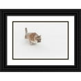 thumbnail image 1 of Jones, Adam 24x17 Black Ornate Wood Framed with Double Matting Museum Art Print Titled - Mountain lion or cougar lunging for prey-Puma concolor)-controlled situation, 1 of 4