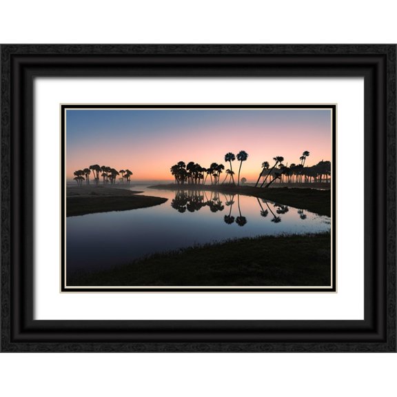 Jones, Adam 24x17 Black Ornate Wood Framed with Double Matting Museum Art Print Titled - Sable palms silhouetted at sunrise on the Econlockhatchee River