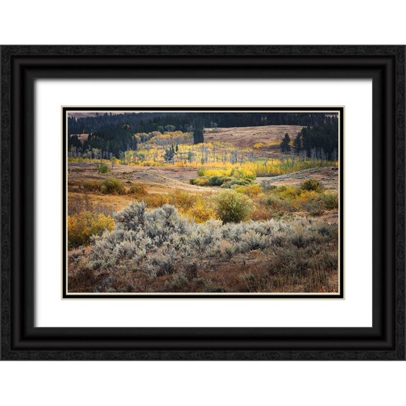 Jones, Adam 24x17 Black Ornate Wood Framed with Double Matting Museum Art Print Titled - Scenic landscape view of Lamar Valley with aspen trees and sagebrush-Yellowstone National Park