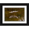 thumbnail image 1 of Jones, Adam 24x17 Black Ornate Wood Framed with Double Matting Museum Art Print Titled - Snowy egret flying-Merritt Island National Wildlife Refuge-Florida, 1 of 4