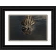 thumbnail image 1 of Jones, Adam 24x17 Black Ornate Wood Framed with Double Matting Museum Art Print Titled - American alligator-Myakka River State Park-Florida, 1 of 4