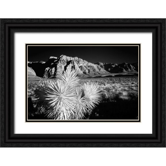 Jones, Adam 24x17 Black Ornate Wood Framed with Double Matting Museum Art Print Titled - Joshua tree-Mojave Desert-California