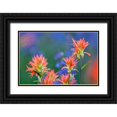 thumbnail image 1 of Jones, Adam 24x17 Black Ornate Wood Framed with Double Matting Museum Art Print Titled - Red paintbrush-Yosemite National Park-California, 1 of 4