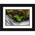 thumbnail image 1 of Jones, Adam 24x17 Black Ornate Wood Framed with Double Matting Museum Art Print Titled - Stream and maidenhair ferns-Columbia River Gorge-Oregon, 1 of 4