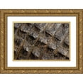 thumbnail image 1 of Jones, Adam 24x17 Gold Ornate Wood Framed with Double Matting Museum Art Print Titled - American alligator scale pattern close-up-Myakka River State Park-Florida, 1 of 4