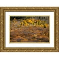 thumbnail image 1 of Jones, Adam 24x17 Gold Ornate Wood Framed with Double Matting Museum Art Print Titled - Autumn view of willows and aspen groves-Grand Teton National Park-Wyoming, 1 of 4