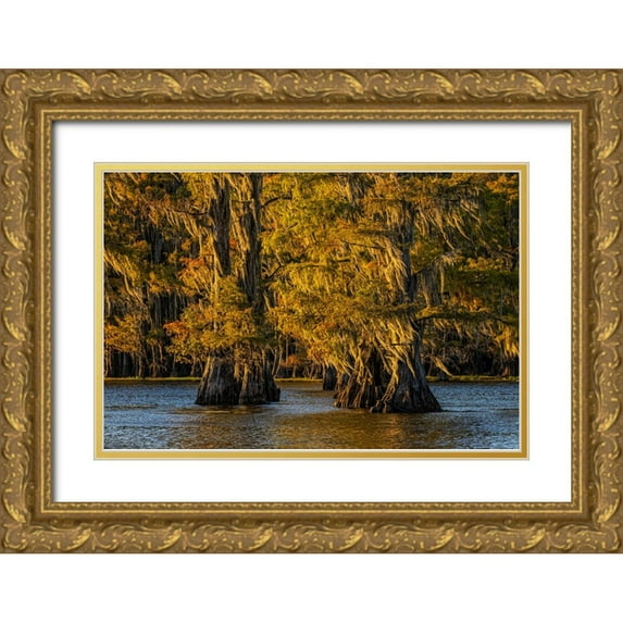 Jones, Adam 24x17 Gold Ornate Wood Framed with Double Matting Museum Art Print Titled - Bald cypress trees in autumn colors at sunset Caddo Lake-Uncertain-Texas