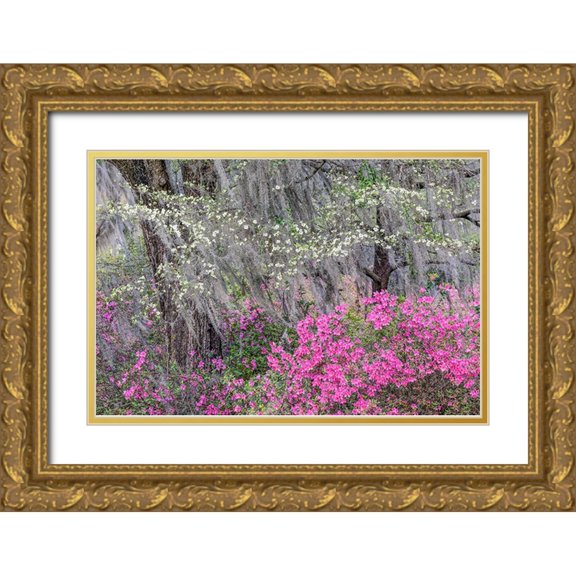Jones, Adam 24x17 Gold Ornate Wood Framed with Double Matting Museum Art Print Titled - Flowering dogwood trees and azaleas in full bloom in spring-Bonaventure Cemetery-Savannah-Georgia