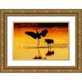 thumbnail image 1 of Jones, Adam 24x17 Gold Ornate Wood Framed with Double Matting Museum Art Print Titled - Sandhill cranes silhouetted at sunset Bosque del Apache National Wildlife Refuge-New Mexico, 1 of 4
