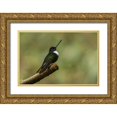 thumbnail image 1 of Jones, Adam 24x17 Gold Ornate Wood Framed with Double Matting Museum Art Print Titled - Collared Inca Ecuador, 1 of 4