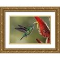 thumbnail image 1 of Jones, Adam 24x17 Gold Ornate Wood Framed with Double Matting Museum Art Print Titled - Green Crowned Brilliant hummingbird-Costa Rica, 1 of 4