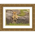 thumbnail image 1 of Jones, Adam 24x17 Gold Ornate Wood Framed with Double Matting Museum Art Print Titled - Lion Cub-Panthera leo-Serengeti National Park-Tanzania-Africa, 1 of 4