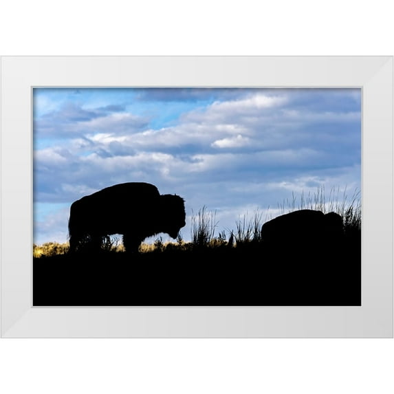 Jones, Adam 24x17 White Modern Wood Framed Museum Art Print Titled - American Bison silhouette Yellowstone National Park-Wyoming